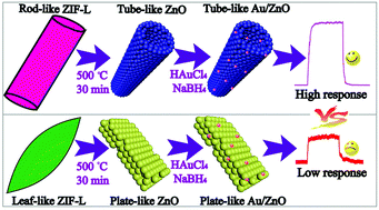 Graphical abstract: Enhanced acetone sensing performance of Au nanoparticle modified porous tube-like ZnO derived from rod-like ZIF-L