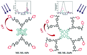 Graphical abstract: Morpholinyl dendrimer phthalocyanine: synthesis, photophysical properties and photoinduced intramolecular electron transfer