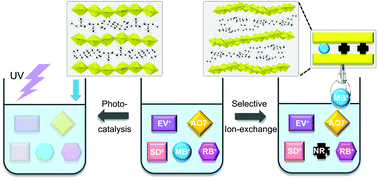 Graphical abstract: Anionic uranyl oxyfluorides as a bifunctional platform for highly selective ion-exchange and photocatalytic degradation of organic dyes