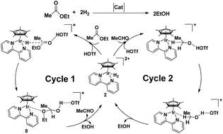 Graphical abstract: Mechanistic insights into the iridium catalysed hydrogenation of ethyl acetate to ethanol: a DFT study