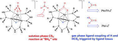Graphical abstract: Synthesis, structure, and condensed-phase reactivity of [Ag3(μ3-H)(μ3-BH4)LPh3](BF4) (LPh = bis(diphenylphosphino)amine) with CS2
