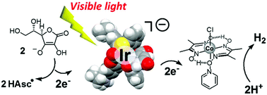 Graphical abstract: An anionic iridium(iii) complex as a visible-light absorbing photosensitizer