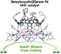 Graphical abstract: Benzyloxycalix[8]arene: a new valuable support for NHC palladium complexes in C–C Suzuki–Miyaura couplings