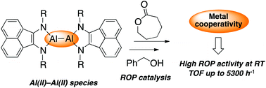 Graphical abstract: Low valent Al(ii)–Al(ii) catalysts as highly active ε-caprolactone polymerization catalysts: indication of metal cooperativity through DFT studies