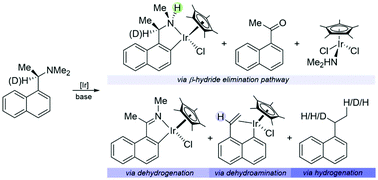 Graphical abstract: Challenges in cyclometalation: steric effects leading to competing pathways and η1,η2-cyclometalated iridium(iii) complexes