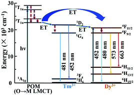Graphical abstract: Elucidating white light emissions in Tm3+/Dy3+ codoped polyoxometalates: a color tuning and energy transfer mechanism study