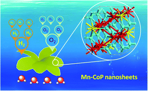 Graphical abstract: MOF-derived Mn doped porous CoP nanosheets as efficient and stable bifunctional electrocatalysts for water splitting