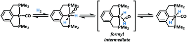 Graphical abstract: H2 addition to (Me4PCP)Ir(CO): studies of the isomerization mechanism