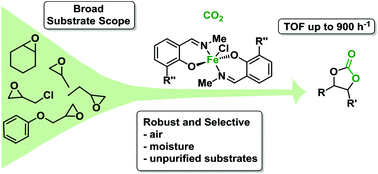 Graphical abstract: Stable Fe(iii) phenoxyimines as selective and robust CO2/epoxide coupling catalysts