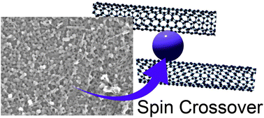 Graphical abstract: Facile preparation of hybrid thin films composed of spin-crossover nanoparticles and carbon nanotubes for electrical memory devices