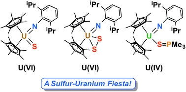 Graphical abstract: A sulphur and uranium fiesta! Synthesis, structure, and characterization of neutral terminal uranium(vi) monosulphide, uranium(vi) η2-disulphide, and uranium(iv) phosphine sulphide complexes