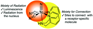 Graphical abstract: A luminescent dicyanidonitridotechnetium(v) core with tridentate ligand coordination sites