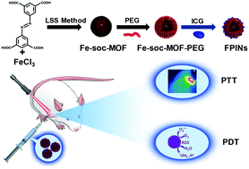 Graphical abstract: Interfacially synthesized Fe-soc-MOF nanoparticles combined with ICG for photothermal/photodynamic therapy