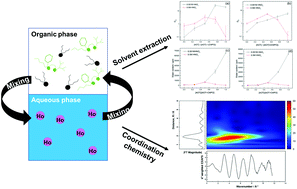 Graphical abstract: Coordination chemistry of lanthanides in a AOT–CMPO solvent extraction system: UV-Vis and XAFS studies