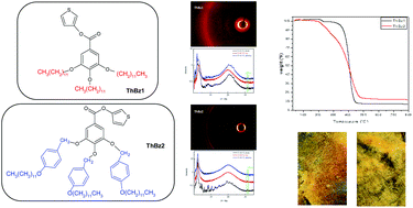 Graphical abstract: Solvent-free thiophene-based electrolytes: synthesis of new liquid-crystalline ionic conductors for batteries: part I