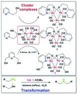 Graphical abstract: Preparation of the Ru3(CO)8-pyridine-alcohol cluster and its use for the selective catalytic transformation of primary to secondary amines