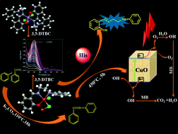 Graphical abstract: Exploring (bio)catalytic activities of structurally characterised Cu(ii) and Mn(iii) complexes: histidine recognition and photocatalytic application of Cu(ii) complex and derived CuO nano-cubes