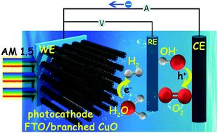 Graphical abstract: Brand new 1D branched CuO nanowire arrays for efficient photoelectrochemical water reduction