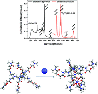 Graphical abstract: A diglycolamide-functionalized TREN-based dendrimer with a ‘crab-like’ grip for the complexation of actinides and lanthanides