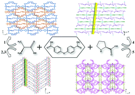 Graphical abstract: Homochiral coordination polymers constructed from V-shaped oxybisbenzoyl-based amino acid derivatives: structures, magnetic and photoluminescence properties