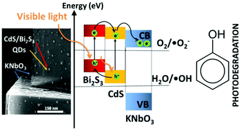 Graphical abstract: Preparation of CdS and Bi2S3 quantum dots co-decorated perovskite-type KNbO3 ternary heterostructure with improved visible light photocatalytic activity and stability for phenol degradation