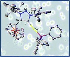 Graphical abstract: Synthesis of heterobimetallic gold(i) ferrocenyl-substituted 1,2,3-triazol-5-ylidene complexes as potential anticancer agents