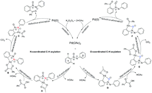Graphical abstract: Theoretical studies on the mechanism of Pd2+-catalyzed regioselective C–H acylation of azoxybenzenes with α-oxocarboxylic acids