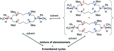 Graphical abstract: Chiral [16]-ane P4N2 macrocycles: stereoselective synthesis and unexpected intermolecular exchange of endocyclic fragments