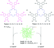 Graphical abstract: Luminescent liquid crystalline hybrid materials by embedding octahedral molybdenum cluster anions with soft organic shells derived from tribenzo[18]crown-6