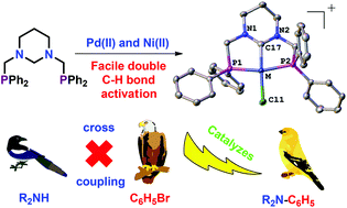 Graphical abstract: Facile synthesis of Pd(ii) and Ni(ii) pincer carbene complexes by the double C–H bond activation of a new hexahydropyrimidine-based bis(phosphine): catalysis of C–N couplings