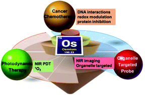Graphical abstract: Future potential of osmium complexes as anticancer drug candidates, photosensitizers and organelle-targeted probes