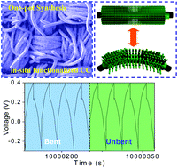 Graphical abstract: One-pot growth of Co(OH)2 nanowire bundle arrays on in situ functionalized carbon cloth for robust flexible supercapacitor electrodes