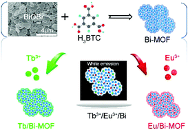 Graphical abstract: Eu3+/Tb3+ functionalized Bi-based metal–organic frameworks toward tunable white-light emission and fluorescence sensing applications
