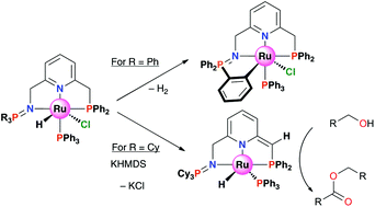Graphical abstract: Ruthenium complexes featuring cooperative phosphine–pyridine–iminophosphorane (PNN) ligands: synthesis, reactivity and catalytic activity