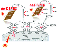 Graphical abstract: Factors influencing the photoelectrochemical device performance sensitized by ruthenium polypyridyl dyes