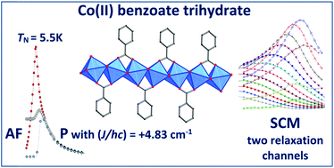 Graphical abstract: Exceptionally slow magnetic relaxation in cobalt(ii) benzoate trihydrate