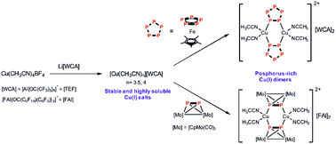Graphical abstract: Highly soluble Cu(i)-acetonitrile salts as building blocks for novel phosphorus-rich organometallic-inorganic compounds