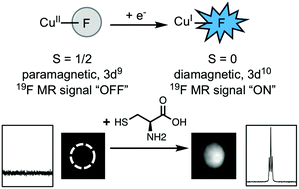 Graphical abstract: Copper(ii) complexes for cysteine detection using 19F magnetic resonance