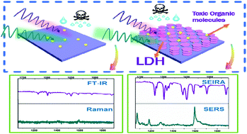 Graphical abstract: Multifunctional Zn–Al layered double hydroxides for surface-enhanced Raman scattering and surface-enhanced infrared absorption