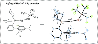 Graphical abstract: Isolation of OH-bridged Ag(i)/Cu(iii) and ion-pair Cu(i)/Cu(iii) trifluoromethyl complexes with monophosphines