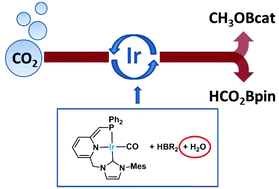 Graphical abstract: Hydroboration of carbon dioxide with catechol- and pinacolborane using an Ir–CNP* pincer complex. Water influence on the catalytic activity