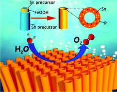 Graphical abstract: Tubular morphology preservation and doping engineering of Sn/P-codoped hematite for photoelectrochemical water oxidation