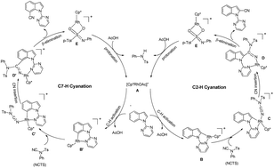 Graphical abstract: Theoretical studies on Rh(iii)-catalyzed regioselective C–H bond cyanation of indole and indoline