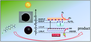 Graphical abstract: Construction of a novel ternary composite of Co-doped CdSe loaded on biomass carbon spheres as visible light photocatalysts for efficient photocatalytic applications