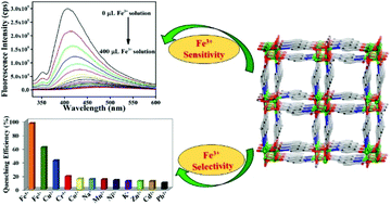 Graphical abstract: A new 3D luminescent Zn(ii)–organic framework containing a quinoline-2,6-dicarboxylate linker for the highly selective sensing of Fe(iii) ions