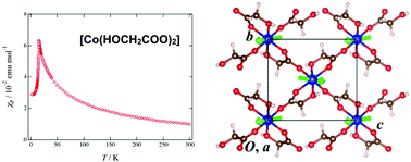 Graphical abstract: Magnetic, thermal, and neutron diffraction studies of a coordination polymer: bis(glycolato)cobalt(ii)