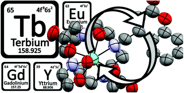 Graphical abstract: Shining light on the excited state energy cascade in kinetically inert Ln(iii) complexes of a coumarin-appended DO3A ligand
