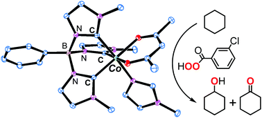 Graphical abstract: Heteroleptic cobalt(iii) acetylacetonato complexes with N-heterocyclic carbine-donating scorpionate ligands: synthesis, structural characterization and catalysis