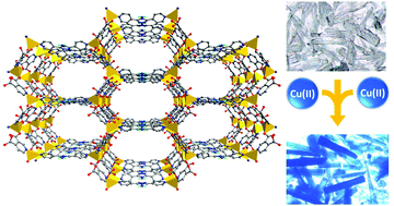 Graphical abstract: Rare metal-ion metathesis of a tetrahedral Zn(ii) core of a noncentrosymmetric (3,4)-connected 3D MOF
