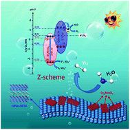Graphical abstract: A Z-scheme Bi2MoO6/CdSe-diethylenetriamine heterojunction for enhancing photocatalytic hydrogen production activity under visible light